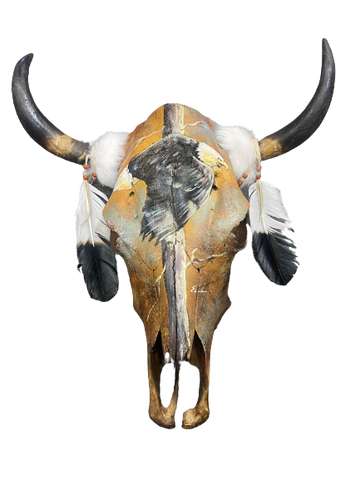 Bald Eagle Cow Skull