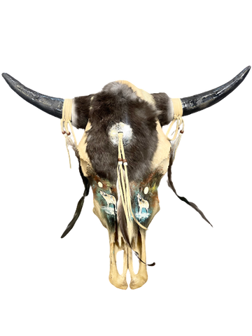 Cow Skulls