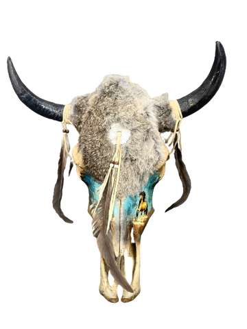 The Speedy Stallion Cow Skull