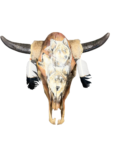 The Lone Pack Cow Skull