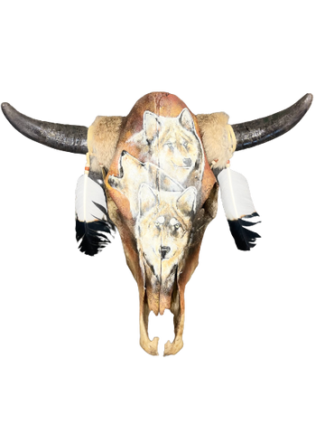 The Lone Pack Cow Skull