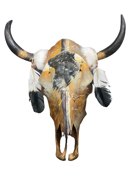 Bald Eagle Cow Skull